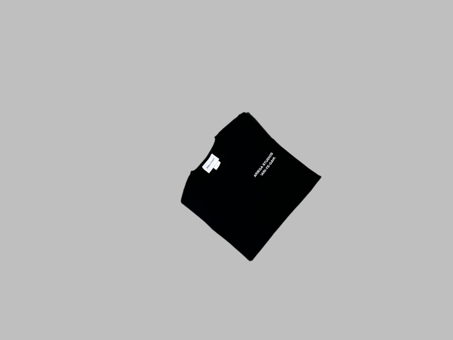 ARIEGA STUDIOS BASIC TEE-BLACK